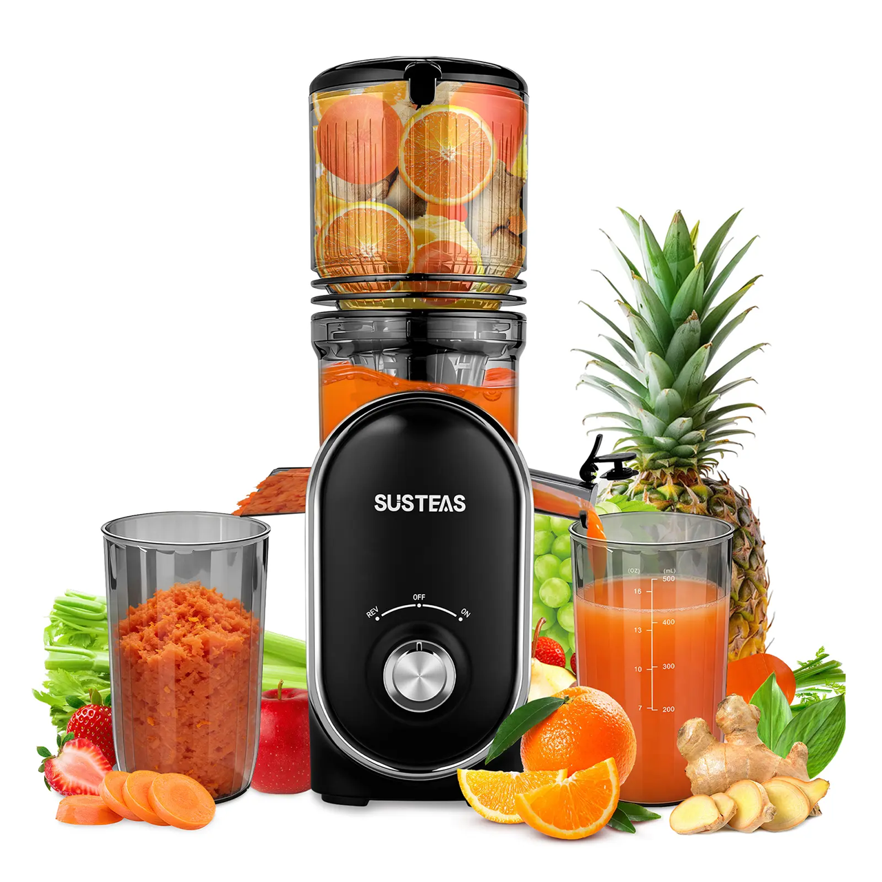 Cold Press Juicer, 5.3 Inch Large Feed Opening