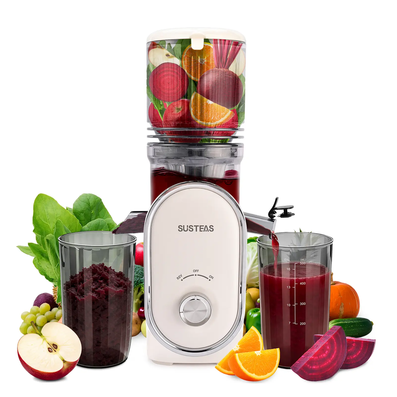 Cold Press Juicer, 5.3 Inch Large Feed Opening