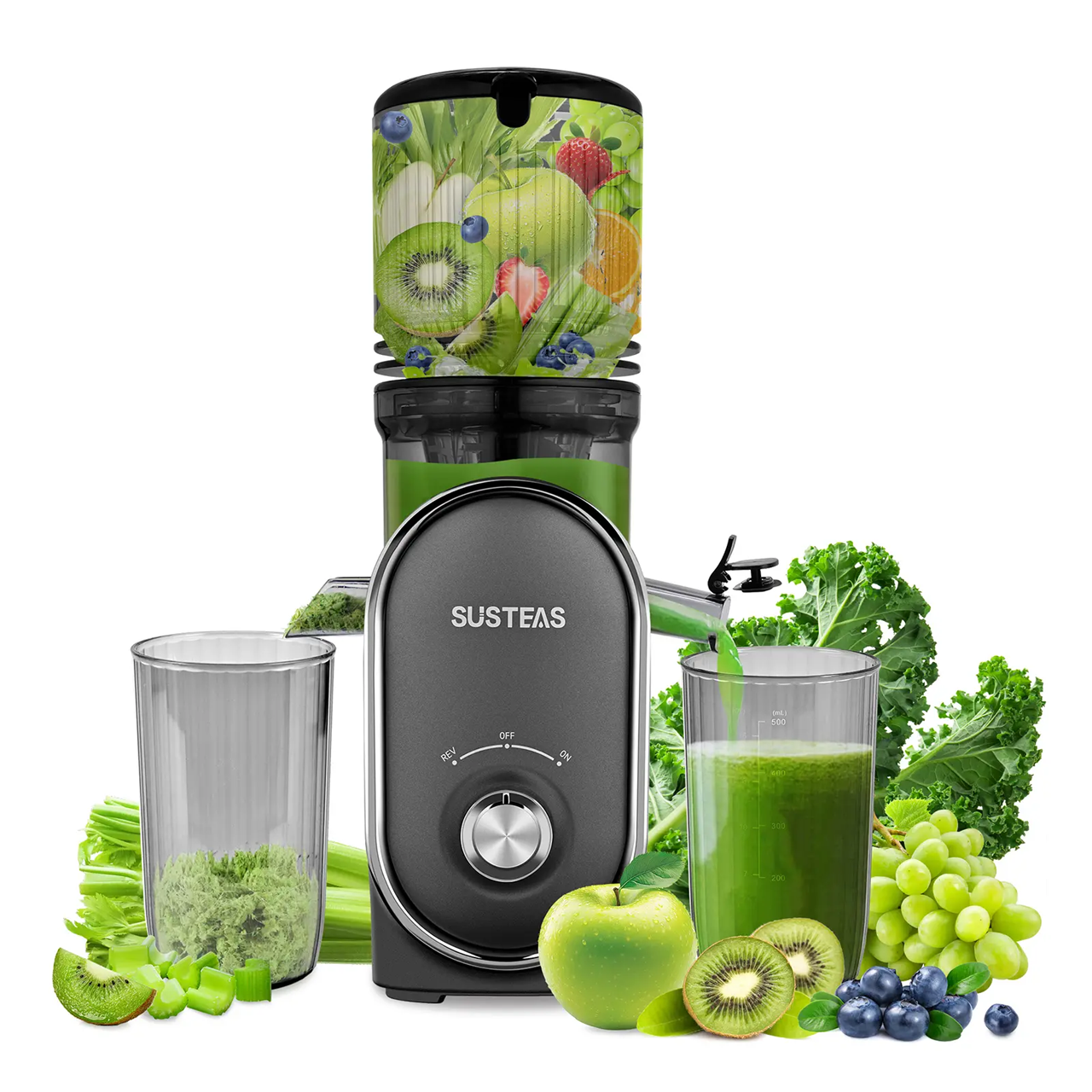Cold Press Juicer, 5.3 Inch Large Feed Opening