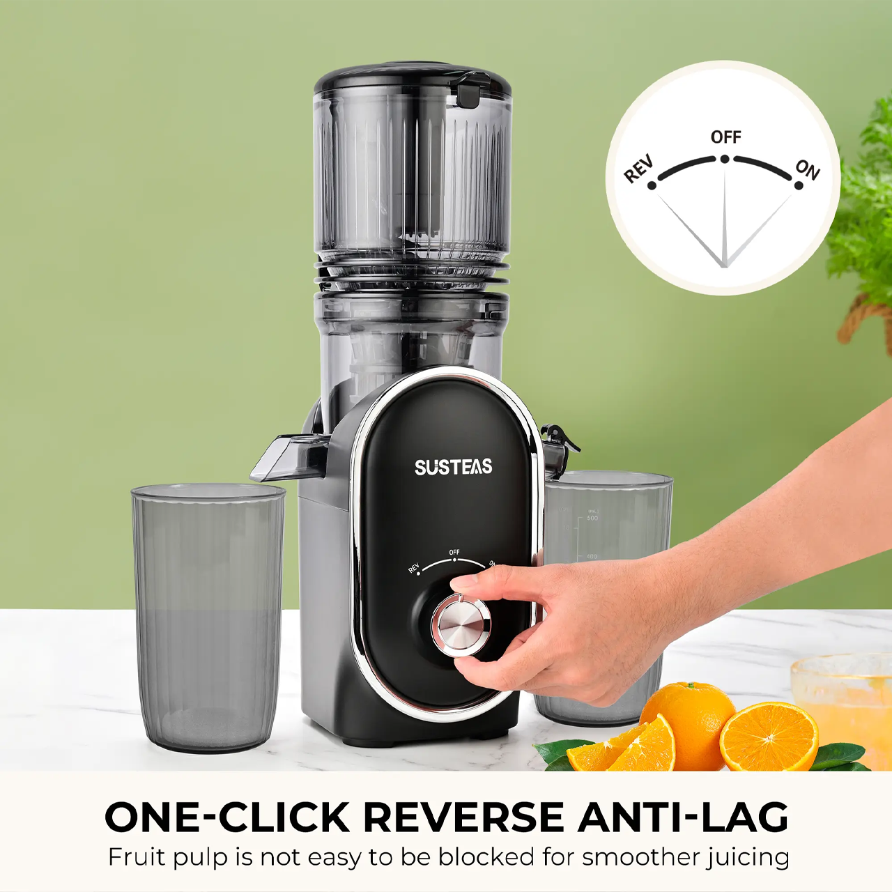 Cold Press Juicer, 5.3 Inch Large Feed Opening